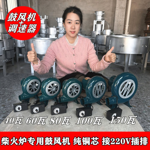 12伏纯铜线家用小型220V豉风机