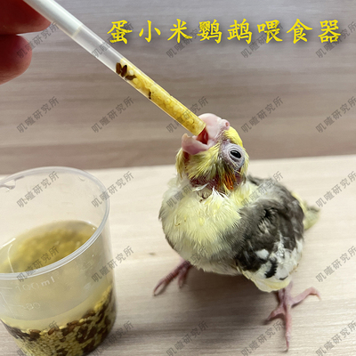 鹦鹉喂食器手养玄凤牡丹幼鸟
