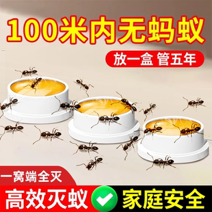 蚂蚁药家用全窝端强效第一名室内无毒家用白蚁灭蚁饵剂呋虫胺