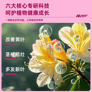 杜鹃花专用营养液强根健苗花苞满枝让杜鹃生机盎然花期延长营养液