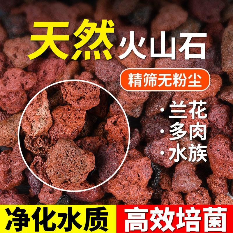 天然火山石红色火山岩颗粒水族鱼缸石材料过滤水垫底造景多肉铺面