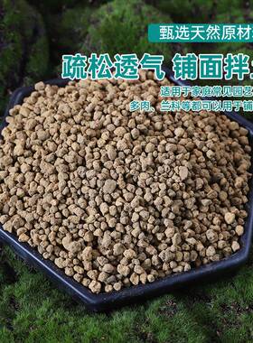 本线硬质大小粗细颗粒多肉盆景铺面营养土植物多肉大颗粒防晒袖套