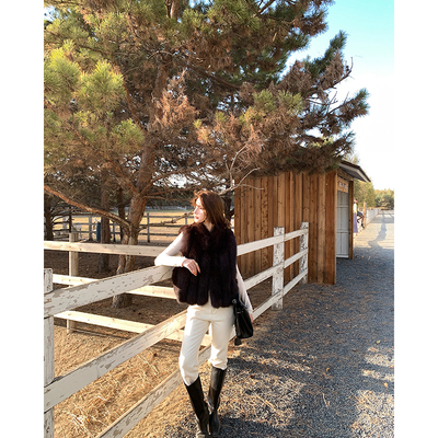 2025新款秋冬芬兰高档蓝狐背毛女立领狐狸毛皮草马甲B2425