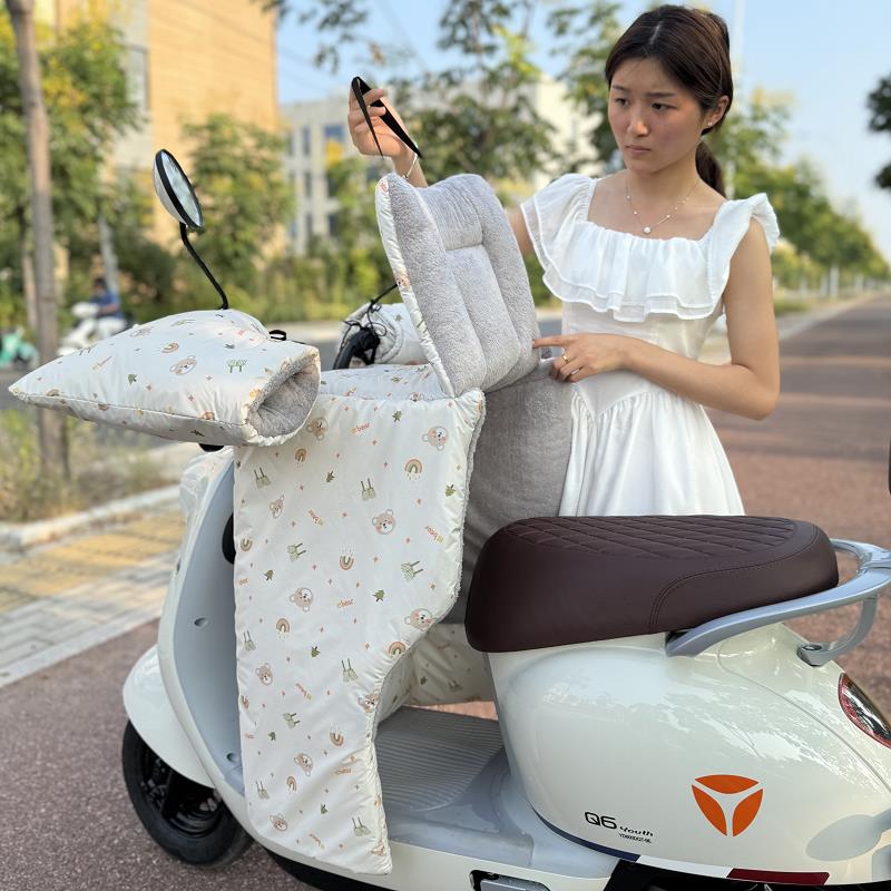 电瓶车挡风被冬季分体小款加绒加厚防雨水小电车电动自行车防寒被