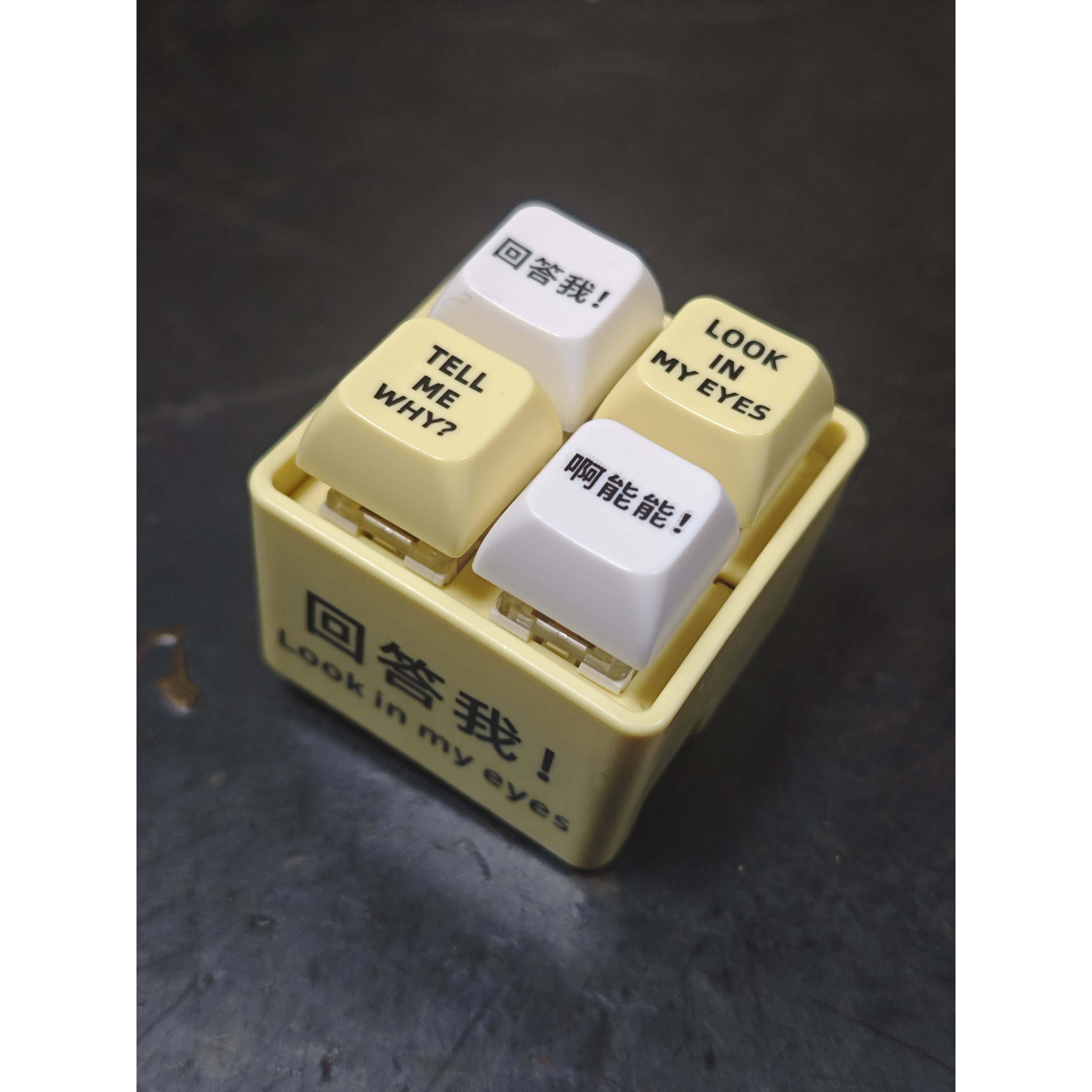 【原创正版】回答我！Look in my eyes! Tell me why? 语音钥匙扣