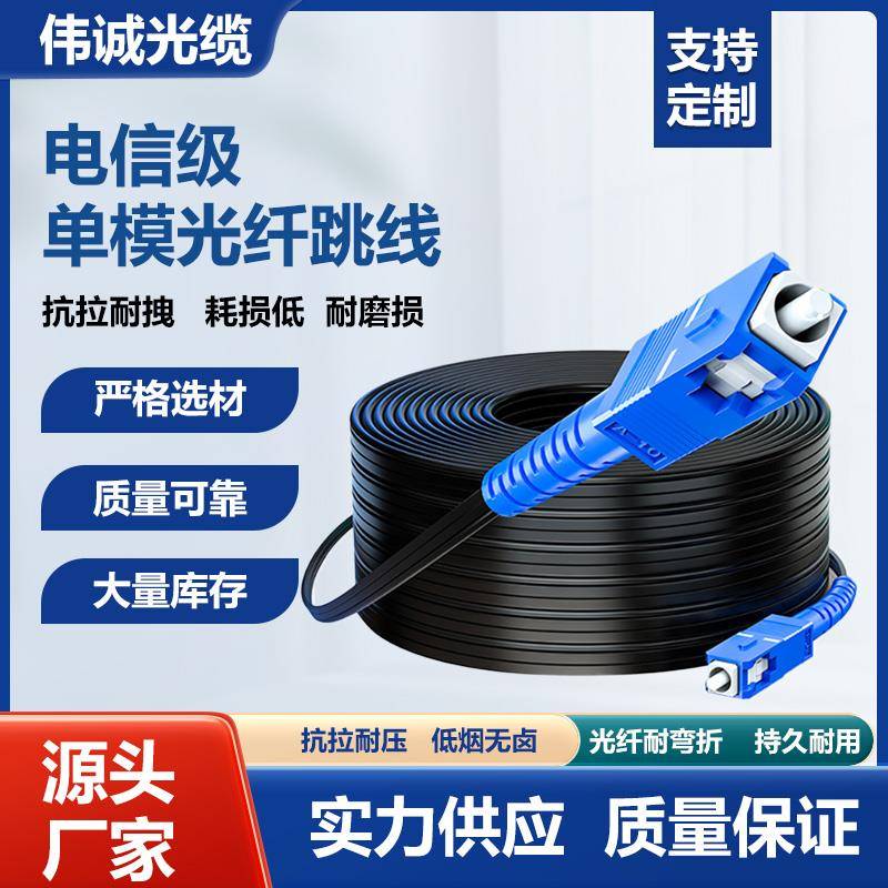 皮线 线光纤单模单芯双芯室内室外跳线 线2芯100米成品线 线SC光纤线 线电信级