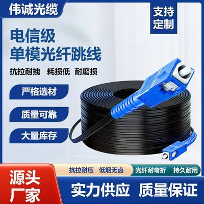 皮线 线光纤单模单芯双芯室内室外跳线 线2芯100米成品线 线SC光纤线 线电信级