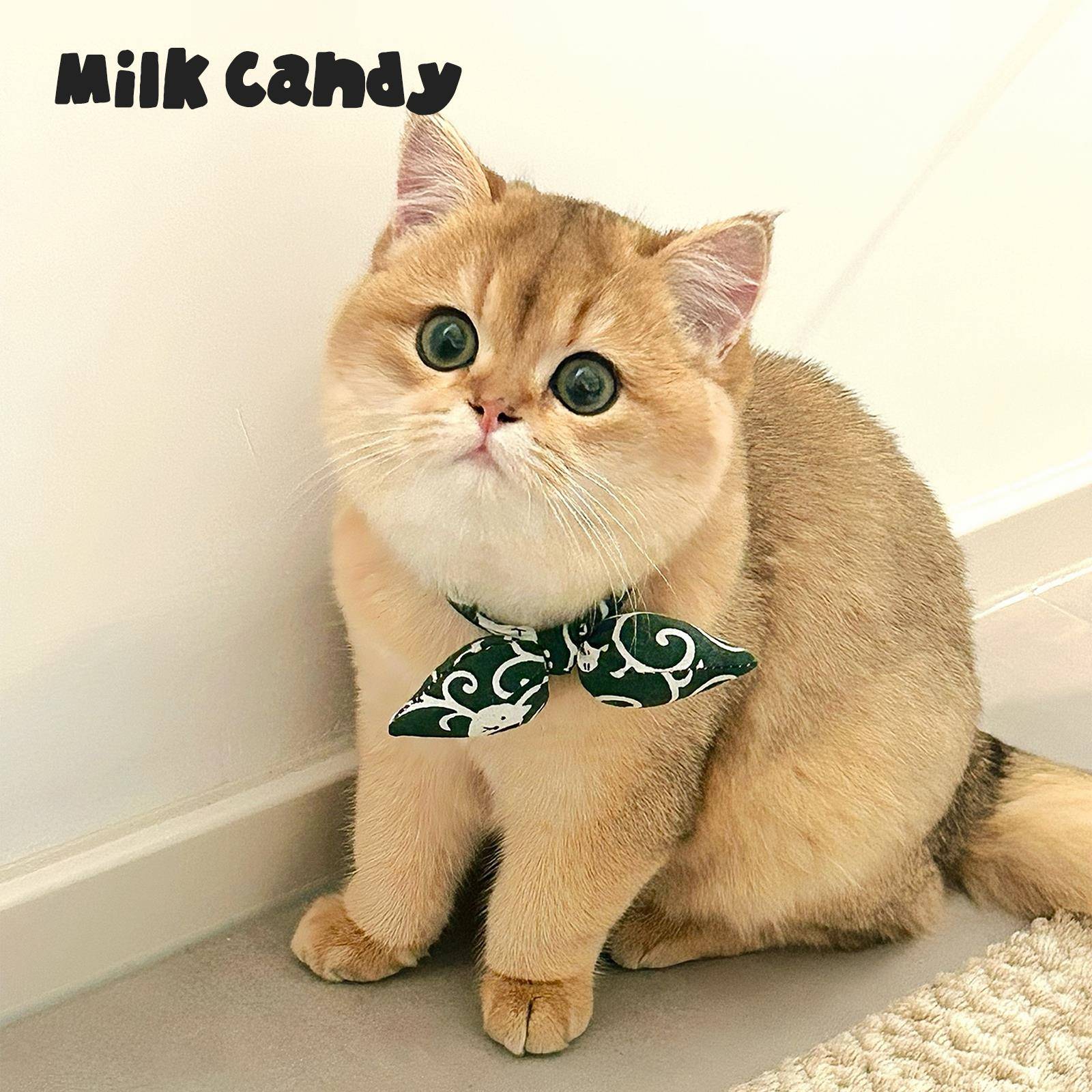 猫咪围脖宠物小猫铃铛项圈狗狗口水巾围兜小狗柴犬围巾配饰装饰品