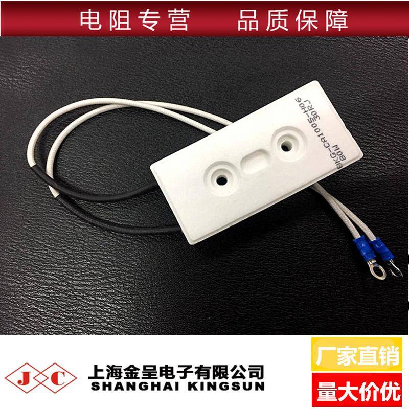 RX27-8BKG变频器充电磁带电阻80W 10R 20R 40R 50R 60R 100R 200R