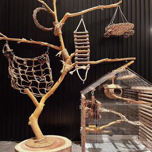 干树枝原木杈艺术干枝枯木树干鸟站架造型壁鹦鹉站架吊顶龙骨装 饰