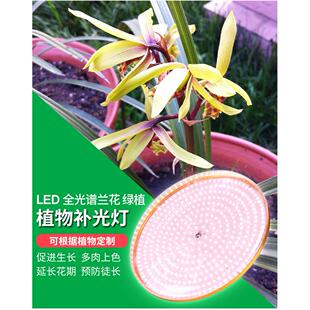 亿加兰花植物补光灯全光谱LED多肉上色绿植花卉植物生长灯50W室内