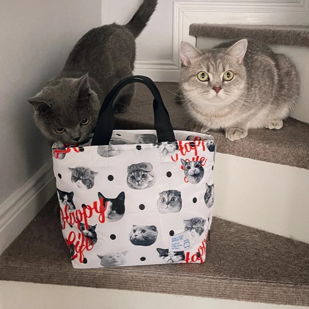 日式喵星人保温便当包上班族饭盒袋防水手提便当袋学生野餐饭盒包