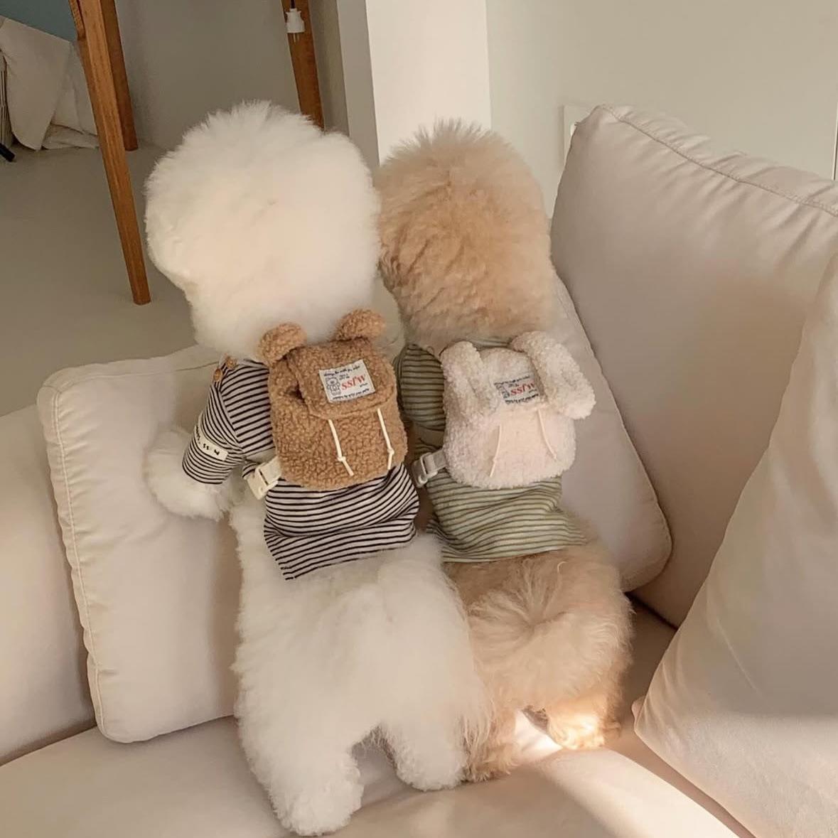 ins小狗狗猫咪外出牵引绳宠物自背包书包捡屎包泰迪比熊博美胸背