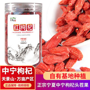 天景山正品宁夏中宁枸杞500g正宗大果头茬特优泡茶红构苟纪干无熏