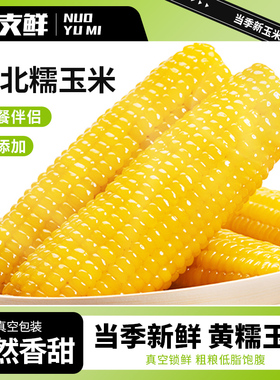 一支鲜东北黄糯玉米甜玉米真空包装新鲜采摘甜粘苞米低脂早餐10棒