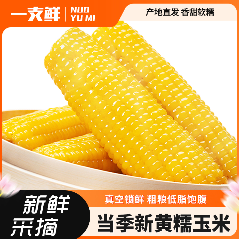东北黄糯玉米棒甜糯玉米10支装粘苞米即食真空锁鲜早餐代餐玉米棒