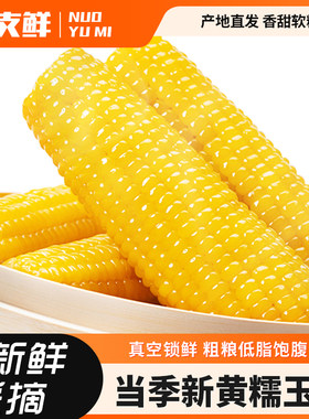 东北黄糯玉米棒甜糯玉米10支装粘苞米即食真空锁鲜早餐代餐玉米棒