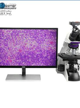 高清三目视频生物显微镜科研实验生物分析高清电子生物显微镜特批