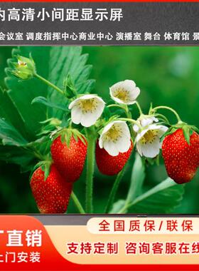 DANACOID室内LED显示屏P1.25/1.53/2/2.5全彩小间距无缝拼接大屏