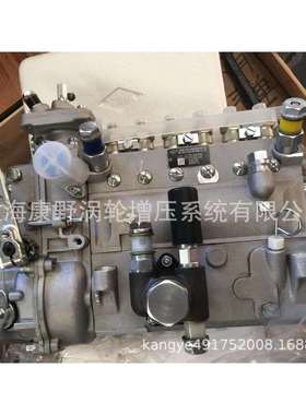 喷油泵6AW83111110101-01A-HL2B6A831A和6AW412和6AW429