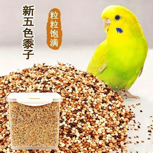 牡丹玄凤中小型鹦鹉五色黍子粮