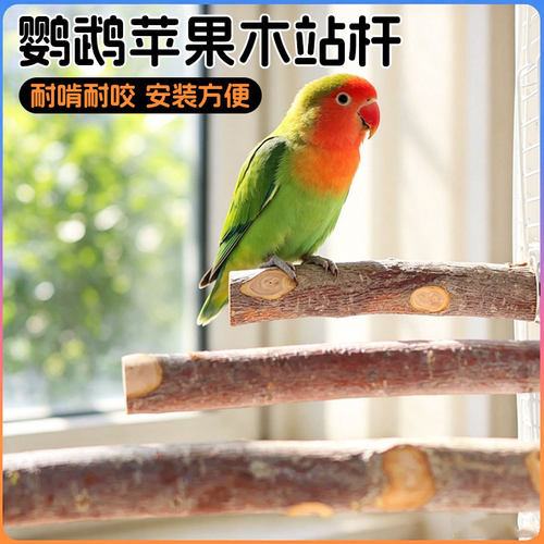 鹦鹉苹果木站杆鹦鹉原木站架虎皮牡丹专用站棍用品磨牙棒鸟笼配件
