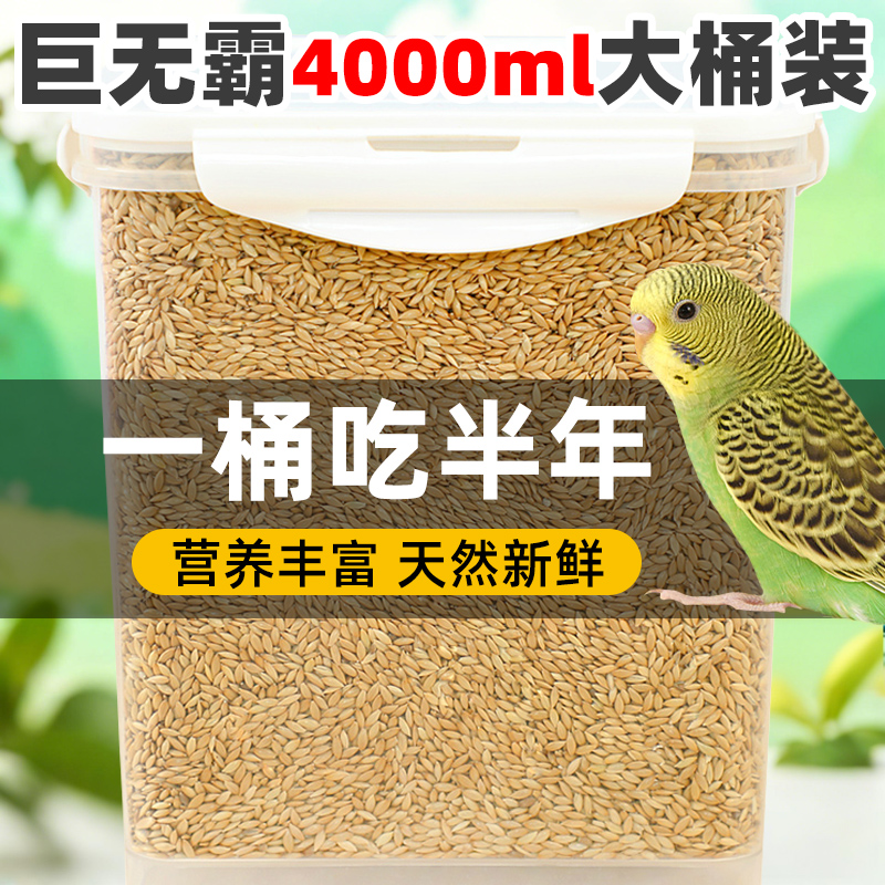 4000ml大容量加纳利子鸟粮罐