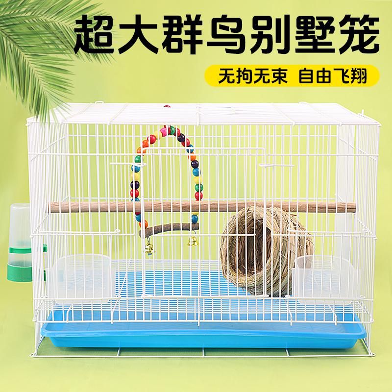 宠宠仔鸟笼虎皮鹦鹉绣眼芦丁鸡饲养笼大号别墅家用养殖大鸟笼子1