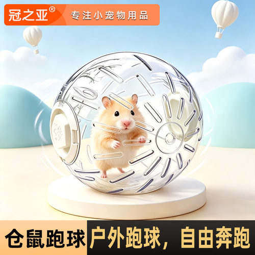 仓鼠玩具仓鼠跑球户外运动玩具滚球金丝熊透明跑步球花枝鼠跑轮球