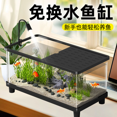 鱼缸造景生态小型桌面缸
