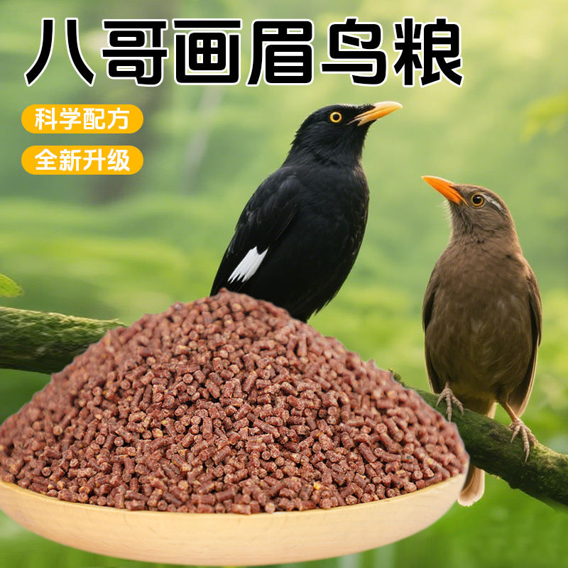 八哥饲料专用鸟粮营养原料