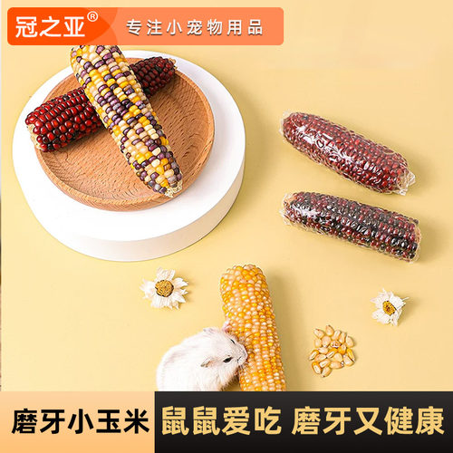 仓鼠零食小玉米棒金丝熊磨牙专用品大全面包虫瓜子营养条粮食