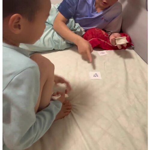 无图识字幼儿启蒙早教识字卡片幼儿园大班中班小班认字大卡网红款