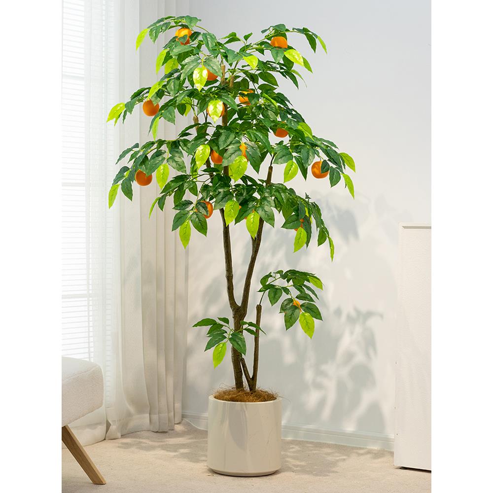 模拟柠檬树绿色植物盆栽植物服装店绿色植物橱窗装饰彷生假绿色植
