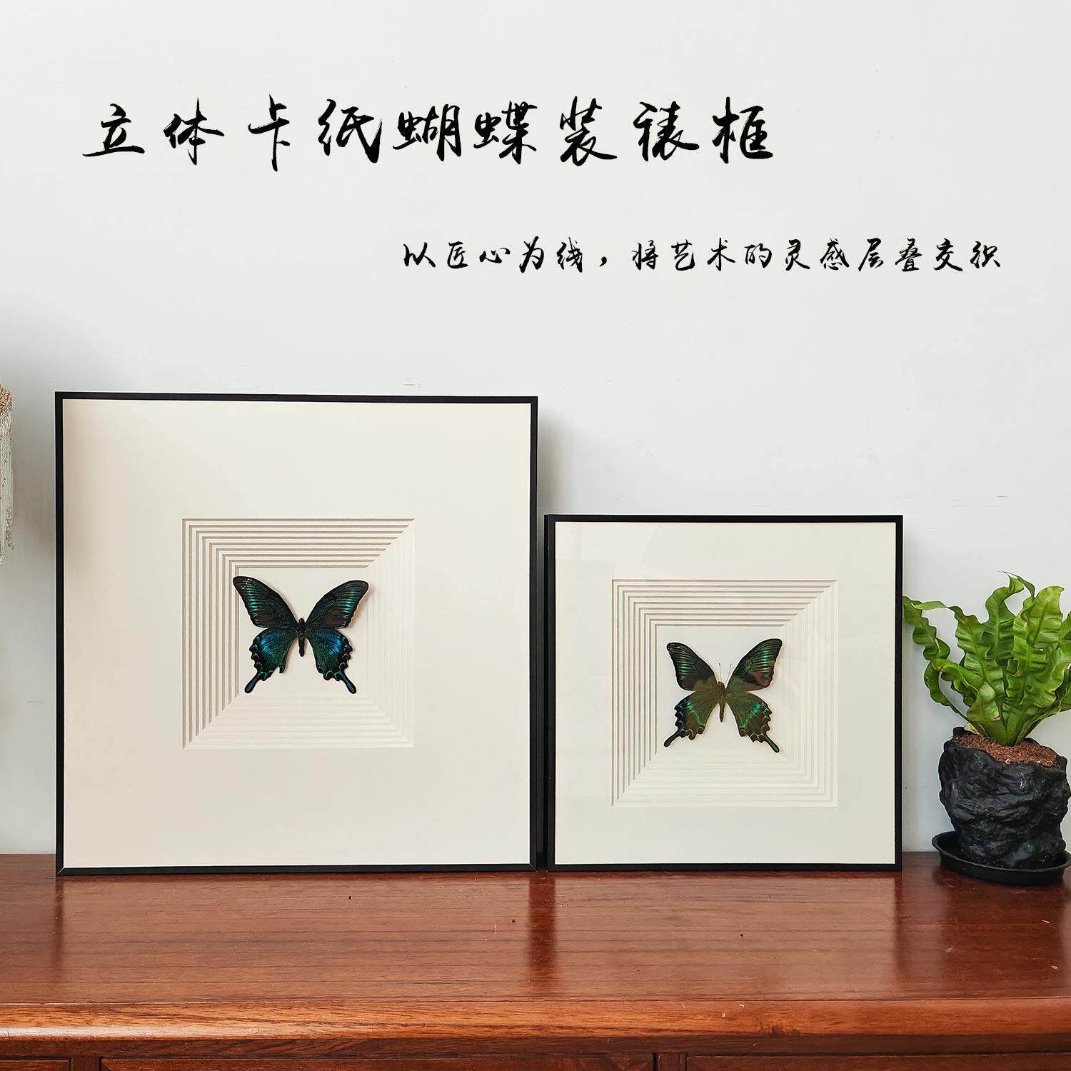 铝合金立体卡纸蝴蝶标本框中空2cm昆虫干 干燥花立体中空相框画