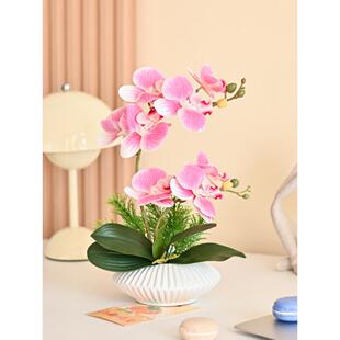 人造花蝴蝶兰套装手感假花盆栽植物客厅桌子展示丝绸花中国陶瓷花