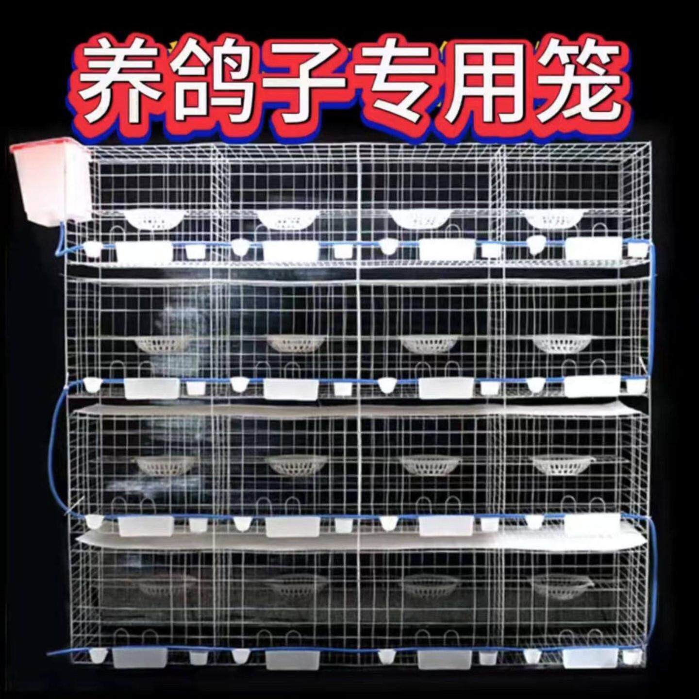 加粗鸽子笼大号特大号元宝鸽子养殖鸽笼专用配对繁殖肉鸽笼