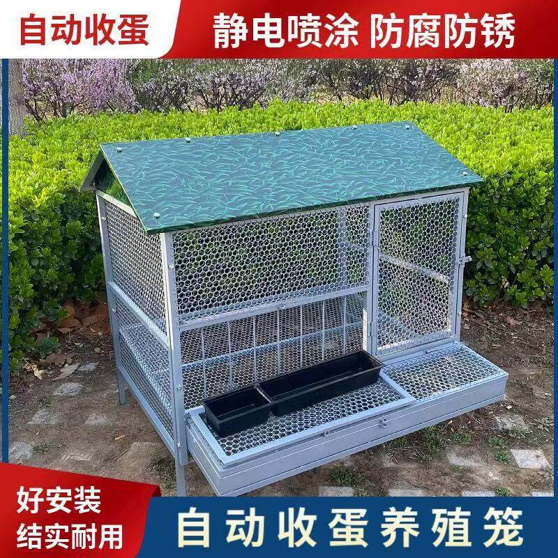 鸡笼子家用室外防雨自动收蛋防啄防黄鼠狼防鼠加厚不锈下蛋养殖笼