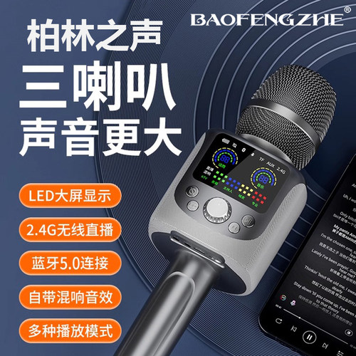 柏林之声话筒音响麦克风一体炫声卡专业全民唱歌车载录音户外K歌