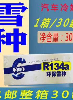 车佣仆汽车空调通用冷媒雪种制冷剂纯正R134a氟利昂环保冷媒冰种