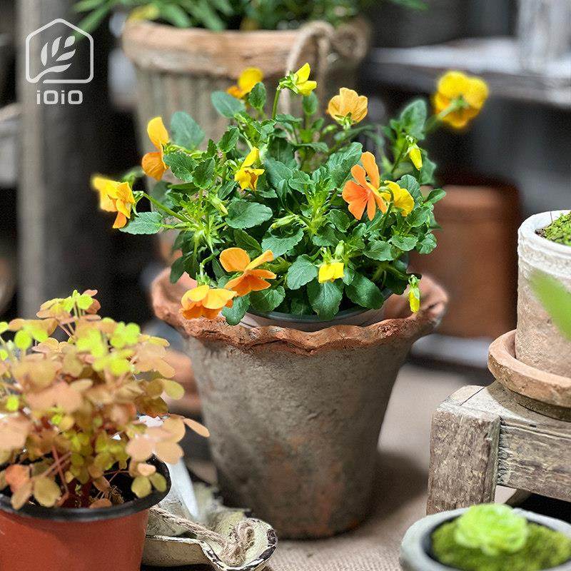 做旧花边花盆出口青苔透气粗陶泥瓦盆红陶小号多肉盆仙人球盆,家居饰品,花盆,淘宝优惠券,粉丝福利购,淘宝优惠卷