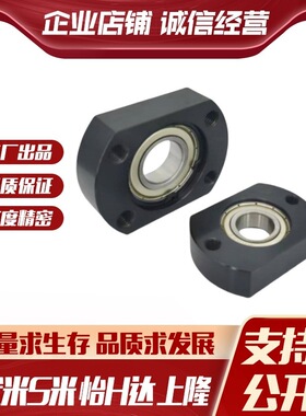 BFJ21-6002/6202/6903/6003/6203/6804/6904/6004/6204ZZ带座轴承