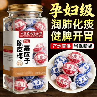 陈皮梅嘉应子正宗广东特产蜜饯果脯凉果话梅零食年货官方旗舰店