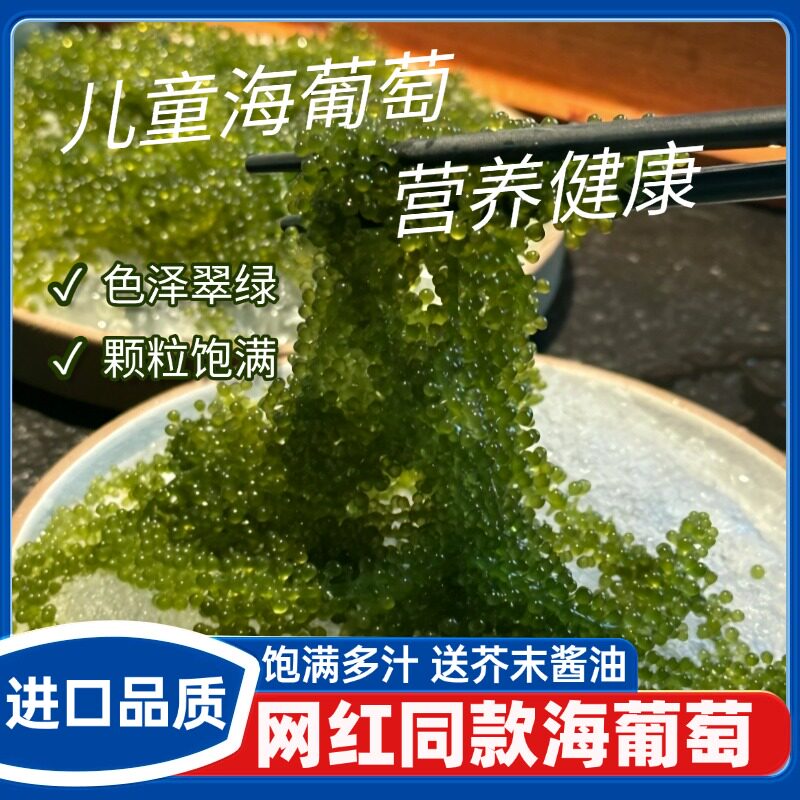 儿童海葡萄即食无添加开袋海草海带小孩吃的健康网红裙带菜海藻丝图片