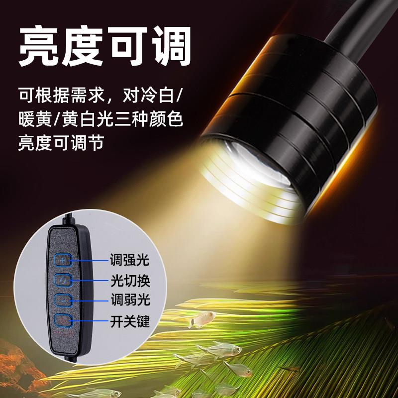 鱼缸灯专用灯小型射灯2026新款防水照明灯溪流缸观赏灯氛围南美缸