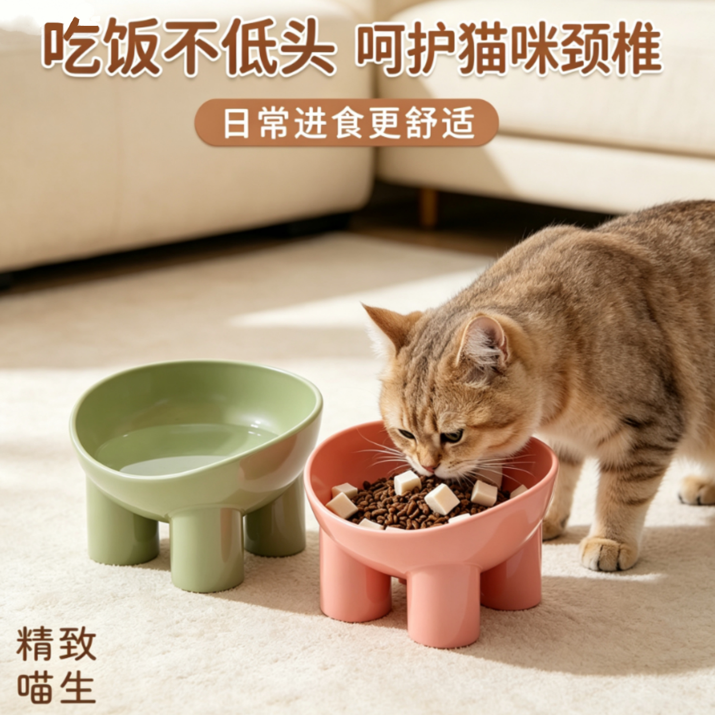 宠物碗塑料猫碗喂食颈椎保护饮水器直销宠物高脚食盆双用护颈通用