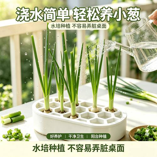 室内水培香葱种植盒免土免打理循环收割更省钱精选育苗盘