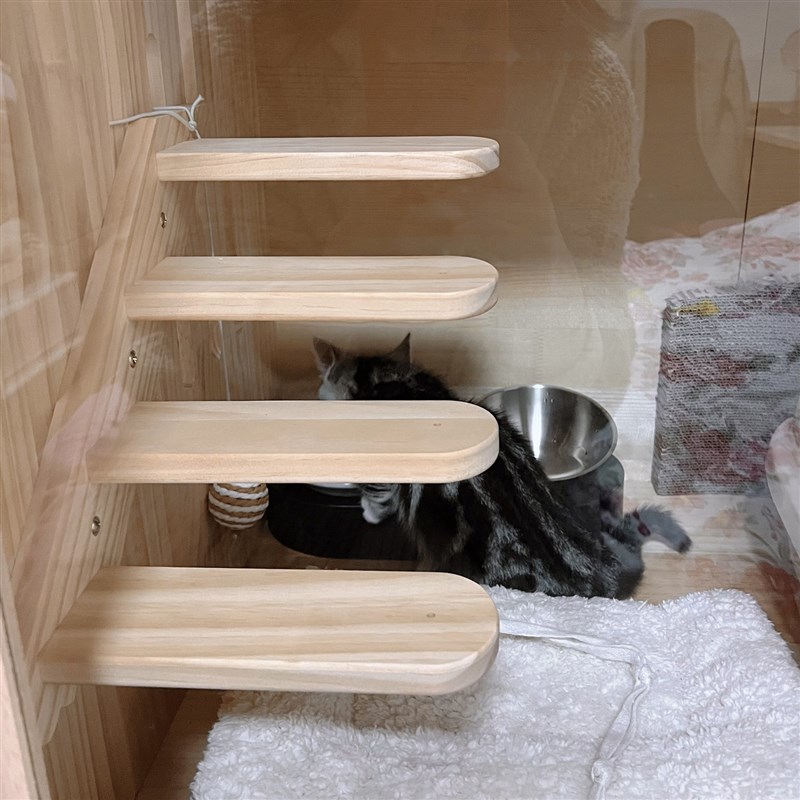 猫笼配件搭配剑麻磨爪猫楼梯实木猫别墅楼梯猫跳台挂笼猫窝猫爬架