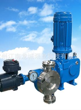 电动调节流量计量泵双隔膜破裂报警自动调节计量泵R41计量泵R113