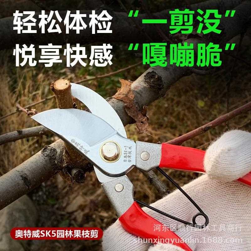 直销新款SK5修枝剪刀园艺剪果枝剪果树盆栽园艺修枝剪刀树枝剪粗